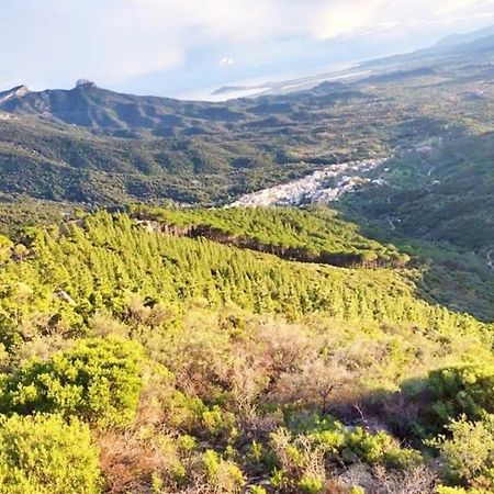 Apartmán Domu Irene - Triei Exteriér fotografie